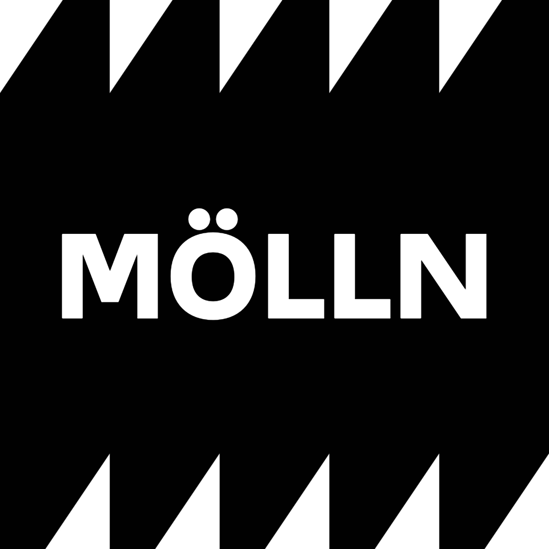 Instagram-Slide mit der Aufschrift "Mölln" auf schwarz-weißem Hintergrund.